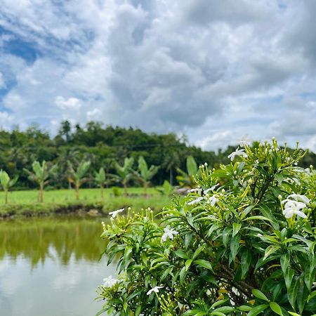 Jazz Ferme Inn Batuan Bohol Εξωτερικό φωτογραφία