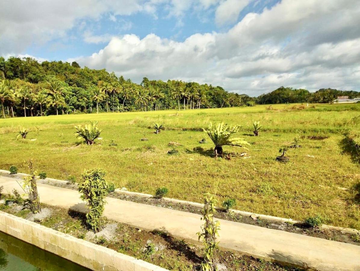 Jazz Ferme Inn Batuan Bohol Εξωτερικό φωτογραφία