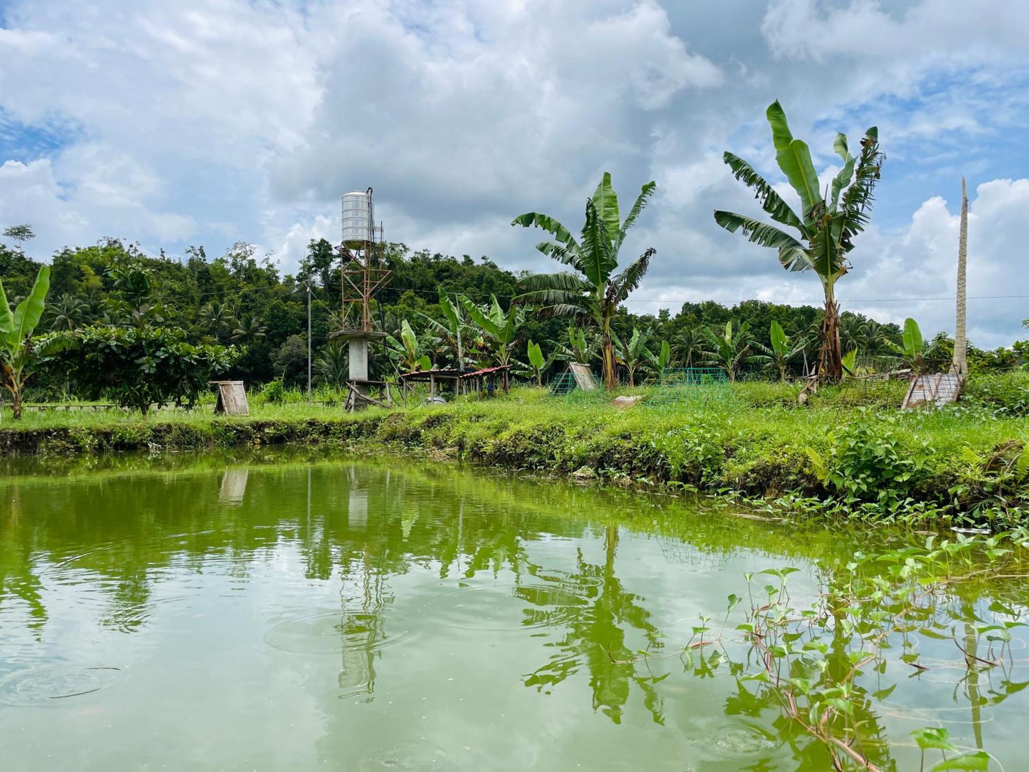 Jazz Ferme Inn Batuan Bohol Εξωτερικό φωτογραφία