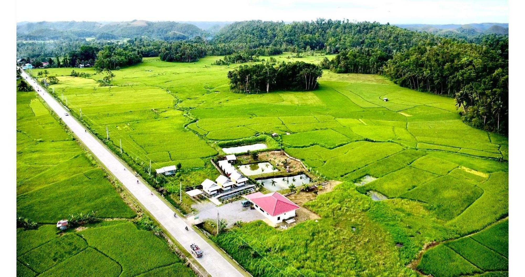 Jazz Ferme Inn Batuan Bohol Εξωτερικό φωτογραφία