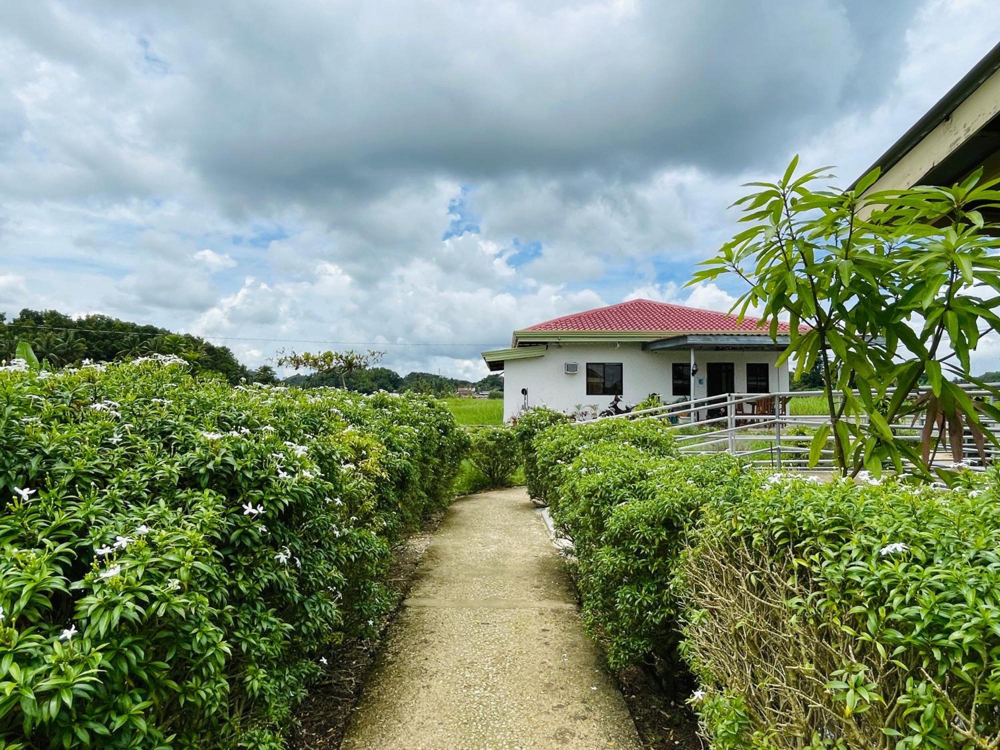 Jazz Ferme Inn Batuan Bohol Εξωτερικό φωτογραφία