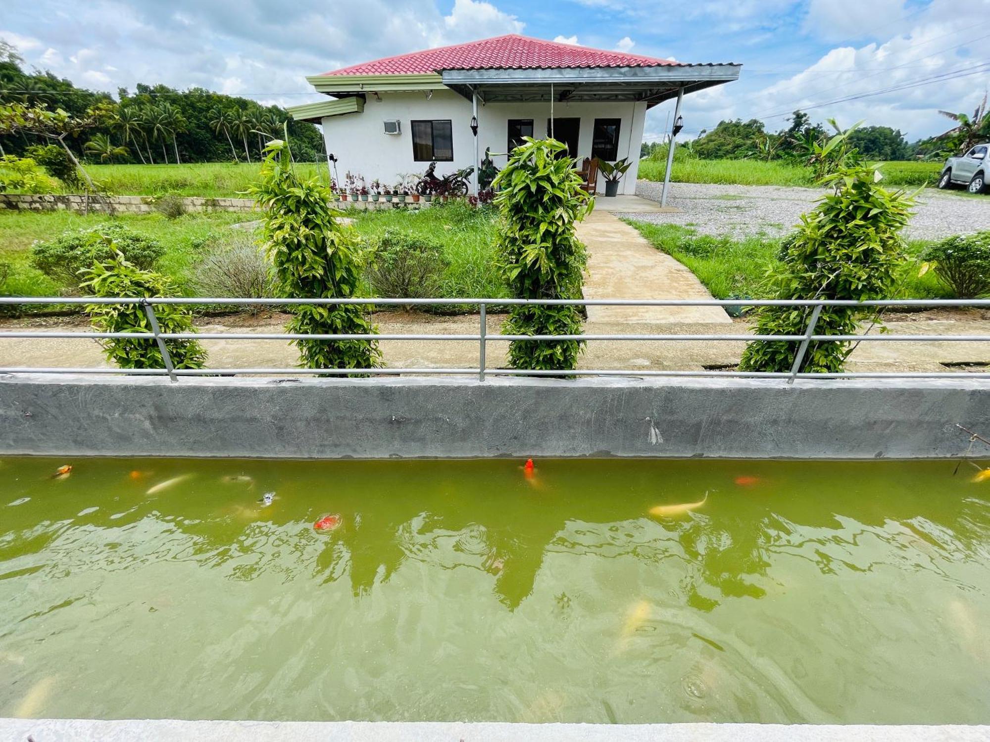 Jazz Ferme Inn Batuan Bohol Εξωτερικό φωτογραφία