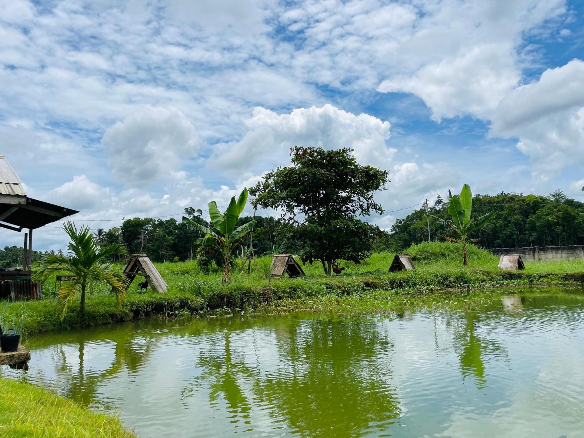 Jazz Ferme Inn Batuan Bohol Εξωτερικό φωτογραφία